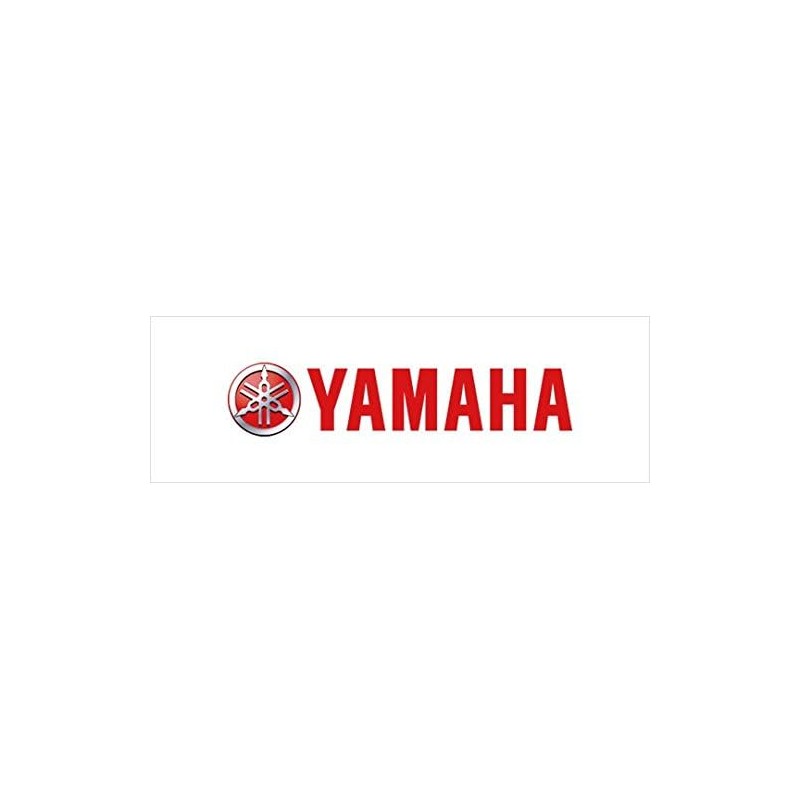 Yamaha Motor Outboard Engine TILT TRAILERING Support for Motors with