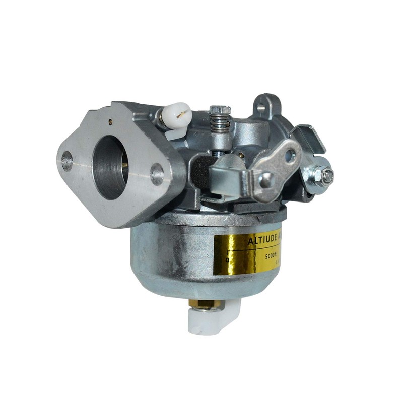 Carbman 146-0455 Carburetor Compatible with Onan Cummins BGD BGE BGM