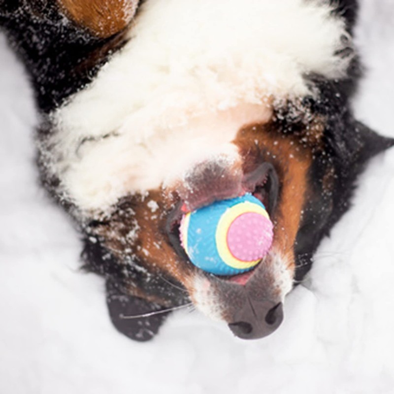 PLATZ PET SUPPLISE&FUN Dog Toy, Sensory Ball, Medium Size
