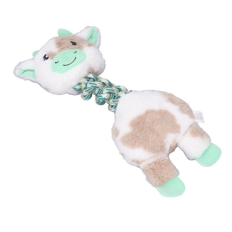 Pet Chewing Toy Bite Resistant Interactive Squeaky Pet Biting Toy