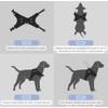 Genérico ChiLand-Chi Arnés para Perro con asa de Control, Pechera