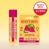 Burt's Bees 버츠비 워터 멜론 립밤 4.25gX2개 Burt's Bees Watermelon Lip Balm 4.25g x 2 pcs