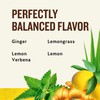Celestial Seasonings Jammin' Lemon Ginger Herbal Tea, Caffeine Free, 20