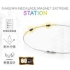 Phiten RAKUWA Magnetic Necklace, EXTREME Station (Black, Silver), Sports Necklace,