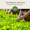 GTGLOTRA Premium Pure Oolong Tea Bag, 72 Pyramid Teabags, 100%
