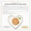Purina Fancy Feast Seafood Classic Pate Collection Grain Free Wet