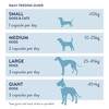 Dorwest Herbs Probiotic Plus for Dogs 100 Capsules, Pre, Pro