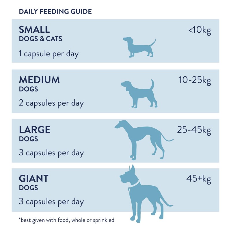 Dorwest Herbs Probiotic Plus for Dogs 100 Capsules, Pre, Pro
