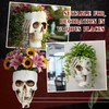 RimCereal 3pcs Halloween Skull Wall Planter Resin Skeleton Gothic Hanging