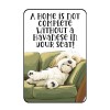 Havanese Dog Fridge Magnet Spoiled Dog In Your Seat Havanese