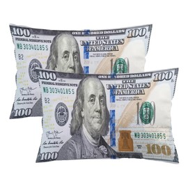 Money Throw Pillow Cover Queen Size Set of 2, 100 Dollar Bill USA Money Funny Hundred Dollar, Lumbar Pillow Case Standard Size Pillow Cover with Zipper, 20"x30"