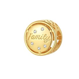 TCZNAF Gold Family Charms for Bracelets and Necklaces 925 Sterling Silver Beads Dangle Pendants Jewelry for Women