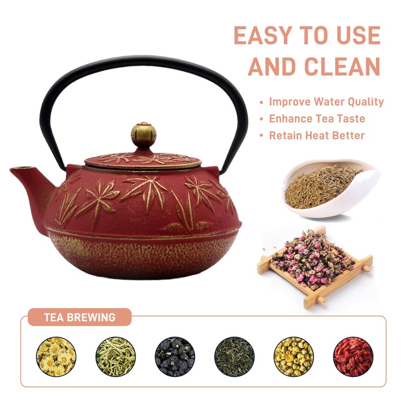 SECHUDO Cast Iron Teapot Tea Kettle with Stainless Steel Infuser