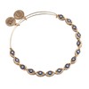 Alex and Ani Untamed Evil Eye Beaded Bangle
