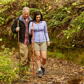 Brazos Handcrafted Wood Walking Stick, Twisted Cedar, Backpacker Style Handle, for Men & Women, Made in The USA, 58"