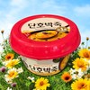 Porridge Soup Group (COMBO, PUMPKIN PORRIDGE)