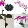 Plant Clips,100pcs Orchid Clips Plastic Plant Climbing Wall Fixture Clips,