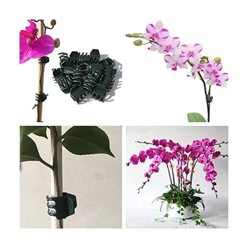 Plant Clips,100pcs Orchid Clips Plastic Plant Climbing Wall Fixture Clips,