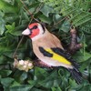 Vivid Arts - Hanging Goldfinch on Branch - HGF-019
