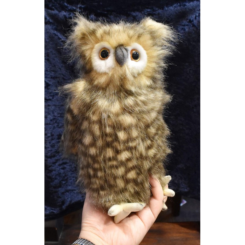 Owl No. 4465 