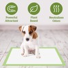 Pogi's Training Pads - Eco-Friendly, Large, Super Absorbent Puppy Training