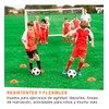 Kit Deportivo Profesional Entranador 6 Conos 6 Platos
