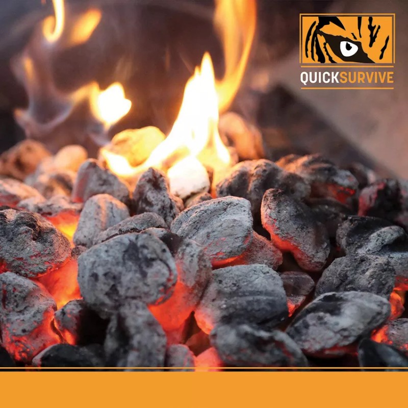 QuickSurvive New QuickSurvive Fire Starter 50 Pack QS-50