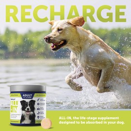 Vetericyn ALL-IN Adult Complete Dog Supplement. Natural, Daily Supplement with Absorption Technology. Bone and Joint Support, Promote Muscle Recovery, Healthy Digestion, and Improve Coat. 90 Tablets