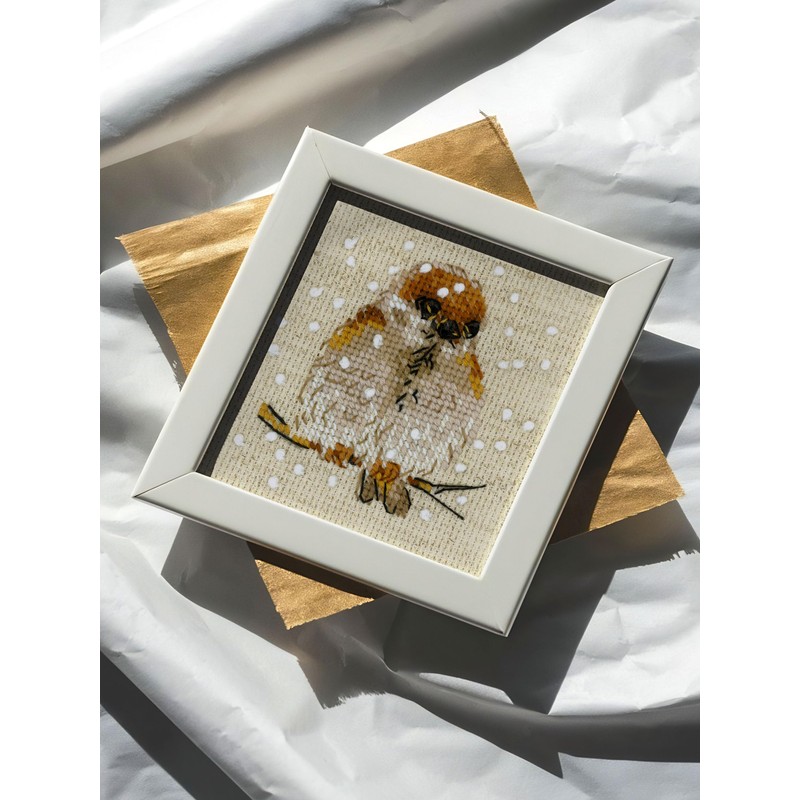 RIOLIS - Passero 1680, Punto croce 10x10cm, Punto croce kit