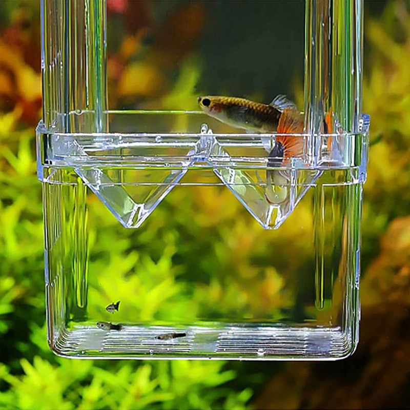 Shrimp Fish Breeding Box,Guador 2 Pcs Multi Functional Double Layer