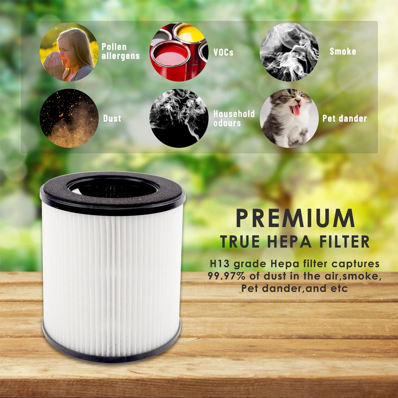 Aliddle B-D02L H13 True HEPA Filter Set, Compatible with Mooka