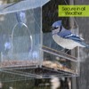Nature Gear Acrylic Clear Bird Feeders for Window Viewing, Weather