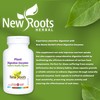 NEW ROOTS HERBAL New Roots Herbal Plant Digestive Enzymes 60