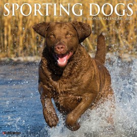 Sporting Dogs 2026 12" x 12" Wall Calendar