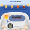 Sailnovo 24 Eggs Incubators for Chicken Eggs with 4 Modes,