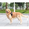 Patch Service Dog Working Do Not Touch Military Tactical Badge
