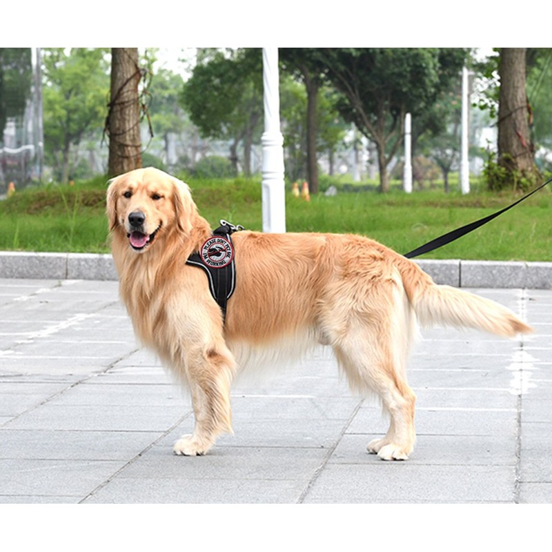 Patch Service Dog Working Do Not Touch Military Tactical Badge