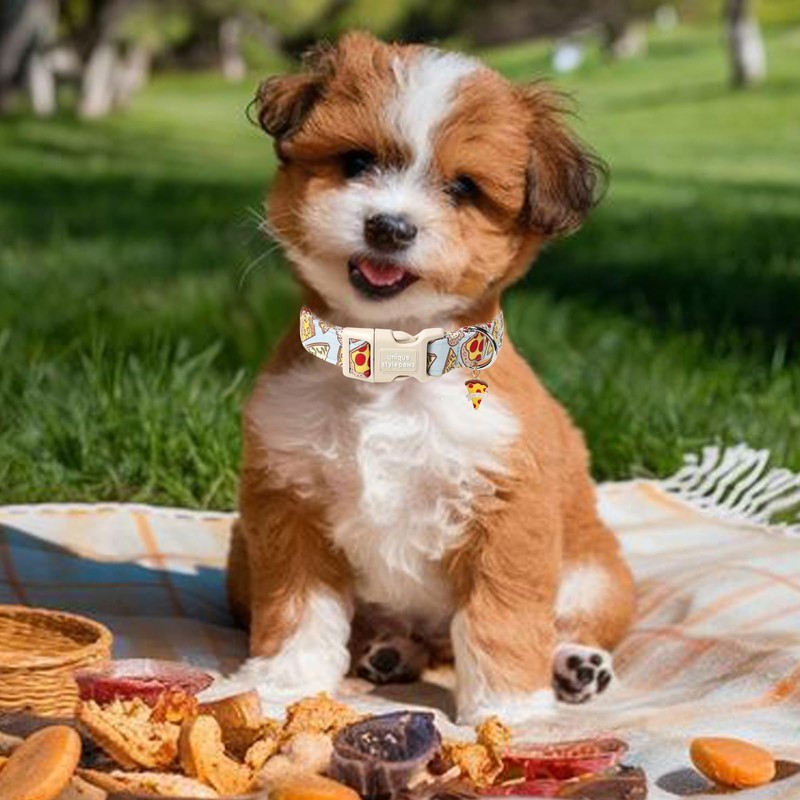 Unique style paws Dog Collar Quick Release Cotton Pizza Collar