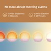 Odokee Sunrise Alarm Clock White Noise Machine: Natural Wake Up