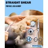 Professional Dog Grooming Scissors Set Pet Grooming Scissors kit for