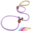 Wagoo Slip Lead, Easy to Wear, Training, Casual, Small, Medium,