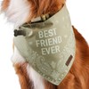 Reddy BFF Dog Bandana Large/X-Large Green