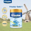 Frisolac Gold 1 (0-12 Meses) Lata C/ 800 Gr