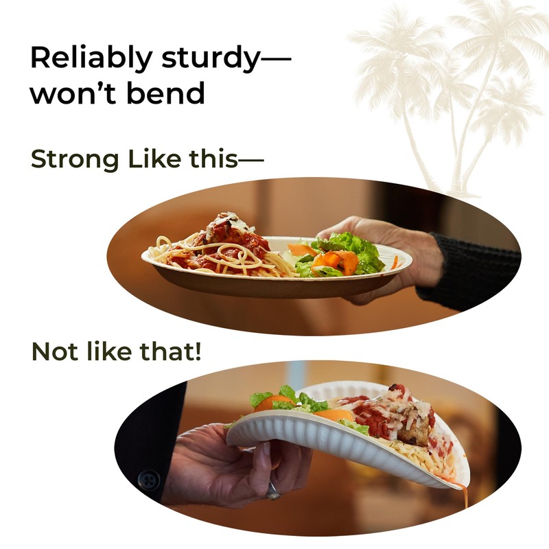 Indie Palm 10 Inch Square Disposable Palm Leaf Plates –