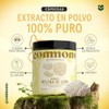 COMMONS Hongo Melena de León Lions Mane Suplemento Natural