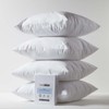 Homescapes Set of 4 Waterproof Cushion Covers 65 x 65