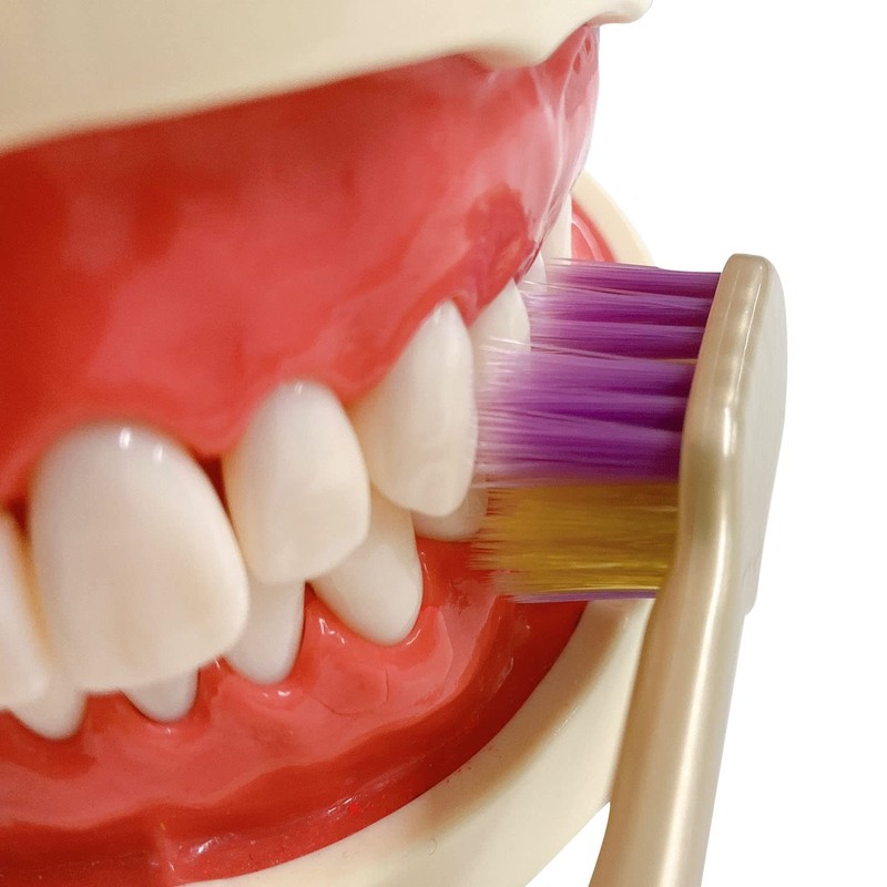 Ebisu The Premium Care Gum Massage Plus, Soft, Set of