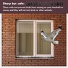 Geetery 40 Pack Bird Spikes for Outside Squirrel Pigeon Spikes