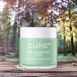 Kim Jeong-moon Aloe Improve skin condition Skin nutrition Moisture supply Realaloe signature cream 2 x 55g / 김정문알로에 피부상태개선 피부영양 수분공급 리알로에 시그니처 크림 2개 55g