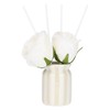 Set diffusore con rose, grigio
